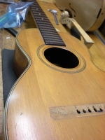 Fretted Instruments