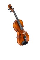 C L Wynn 520 Violin (1)