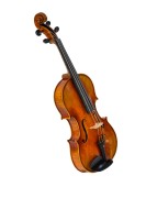 VIOLA Antonio Fiorini 650 