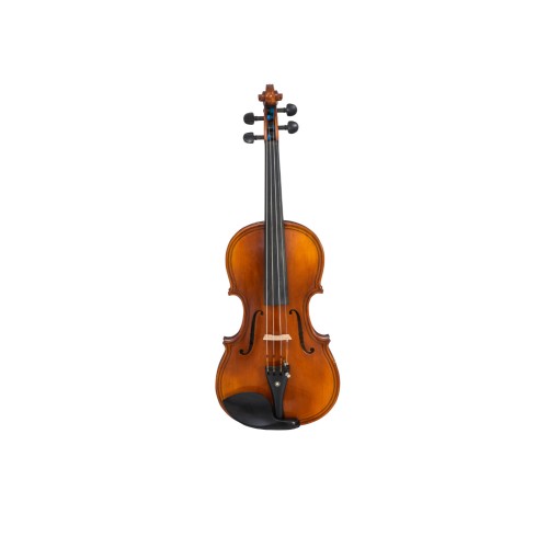 C L Wynn 520 Violin (2)